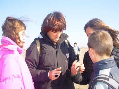 photo16